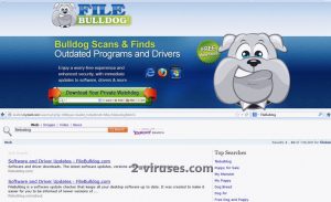 FileBulldog Redirect