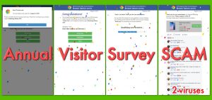 Annual Visitor Survey popup