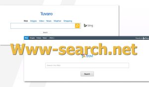 Www-search.net virus