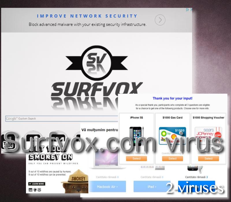 surfvoc-com-2-viruses