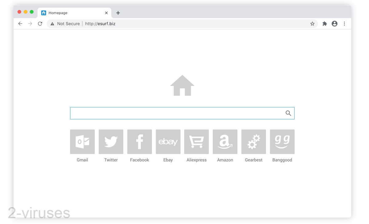Esurf.biz homepage has gray-colored icons for a minimalistic look.