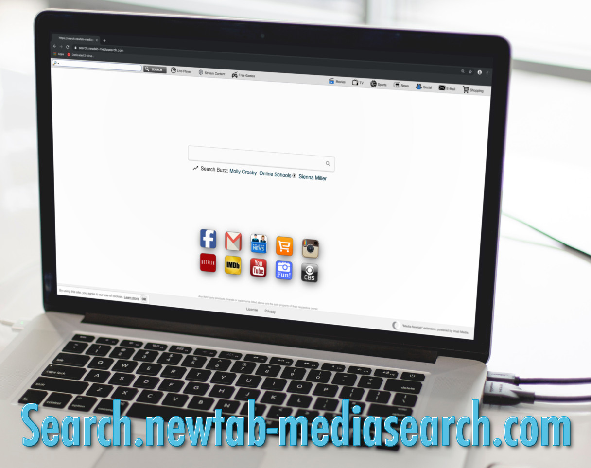 "Search.newtab-mediasearch.com", a screenshot of that page