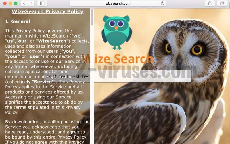 wizesearch-com-virus
