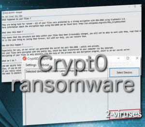 Crypt0 Ransomware