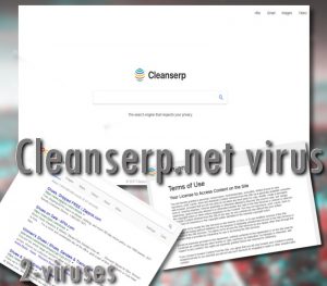 Cleanserp.net virus