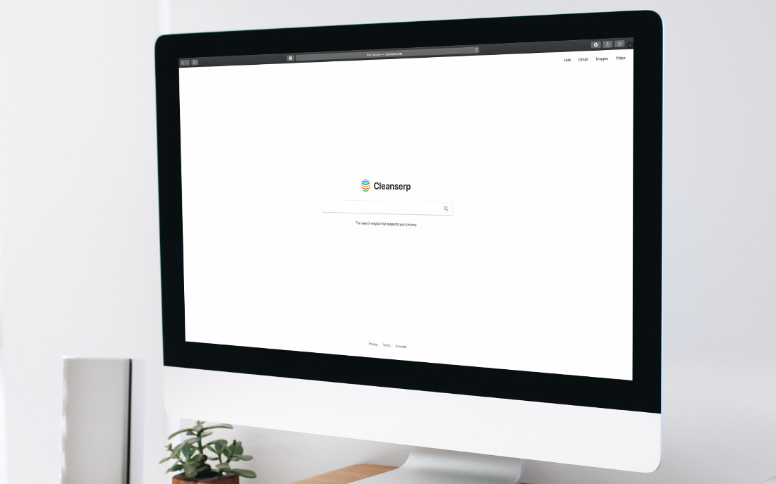 cleanserp.net screen