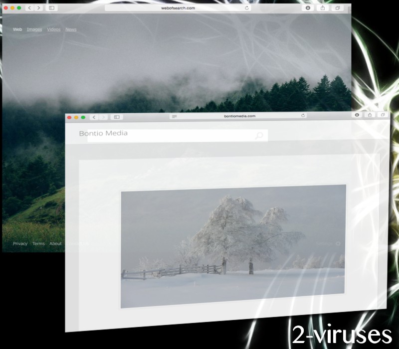 Webofsearch Bontio Media