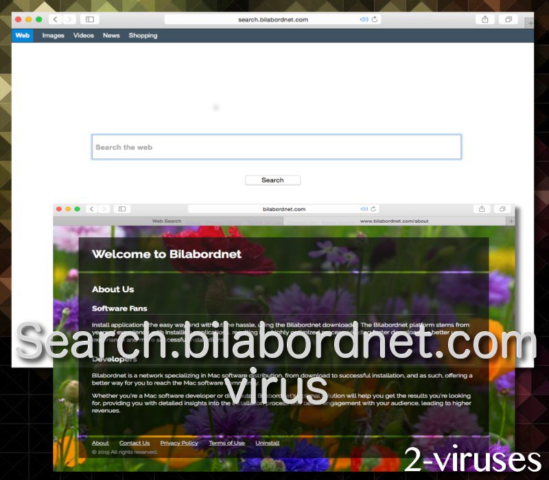 Search.bilabordnet.com virus