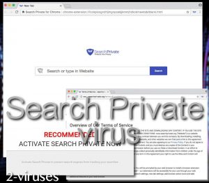 Search Private extension virus