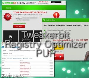 Tweakerbit Registry Optimizer PUP