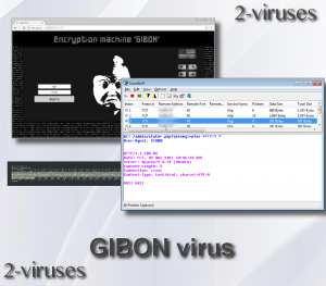 GIBON virus