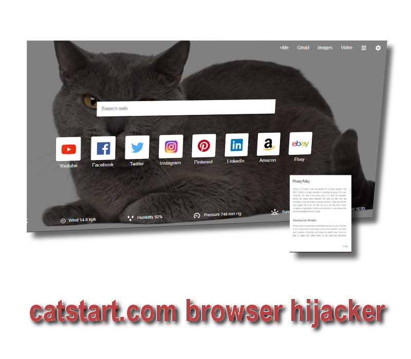 catstart.com virus remove