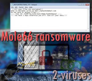 Mole66 ransomware