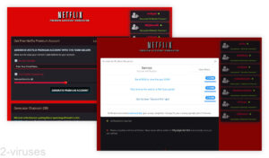 Netflix Scam