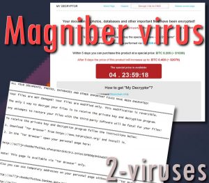 Magniber ransomware