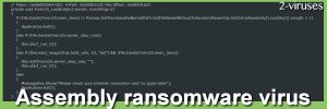 Assembly ransomware virus