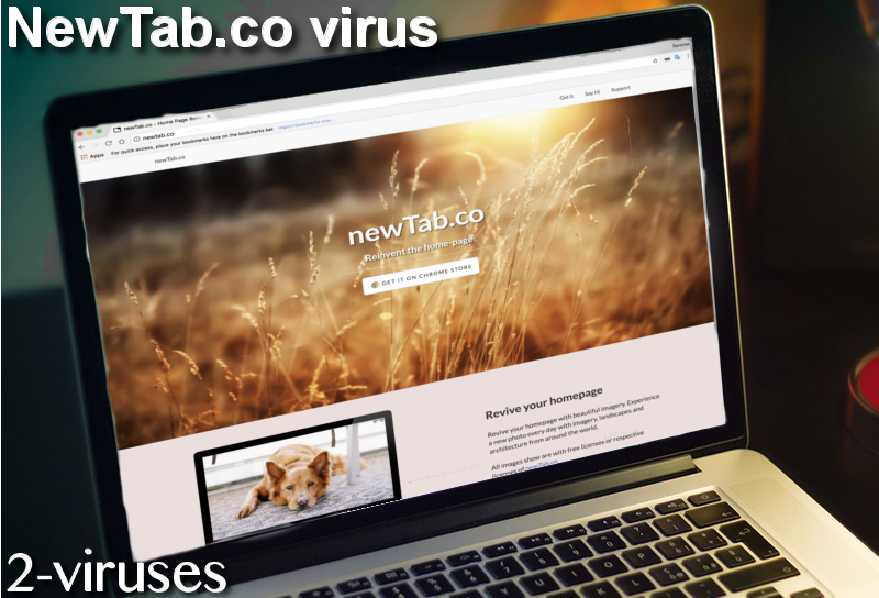 NewTab.co virus remove