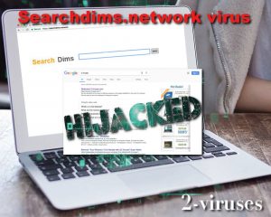 Searchdims.network virus