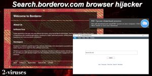 Search.borderov.com