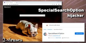 SpecialSearchOption hijacker