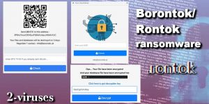 Borontok/Rontok virus