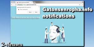 Gatonsenropha.info notifications