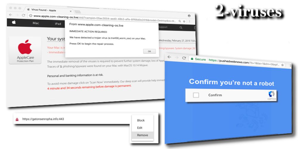 gatonsenropha.info pop-up redirects