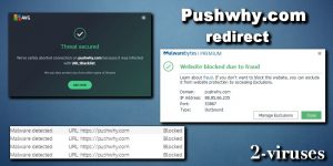 Pushwhy.com Redirect