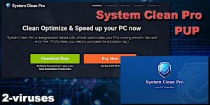 System Clean Pro PUP