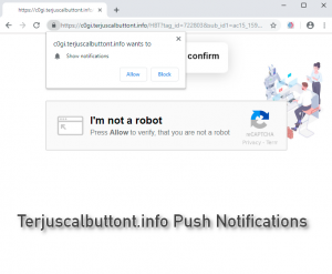 Terjuscalbuttont.info Push Notifications