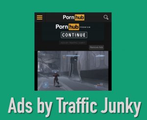 Ads by Traffic Junky