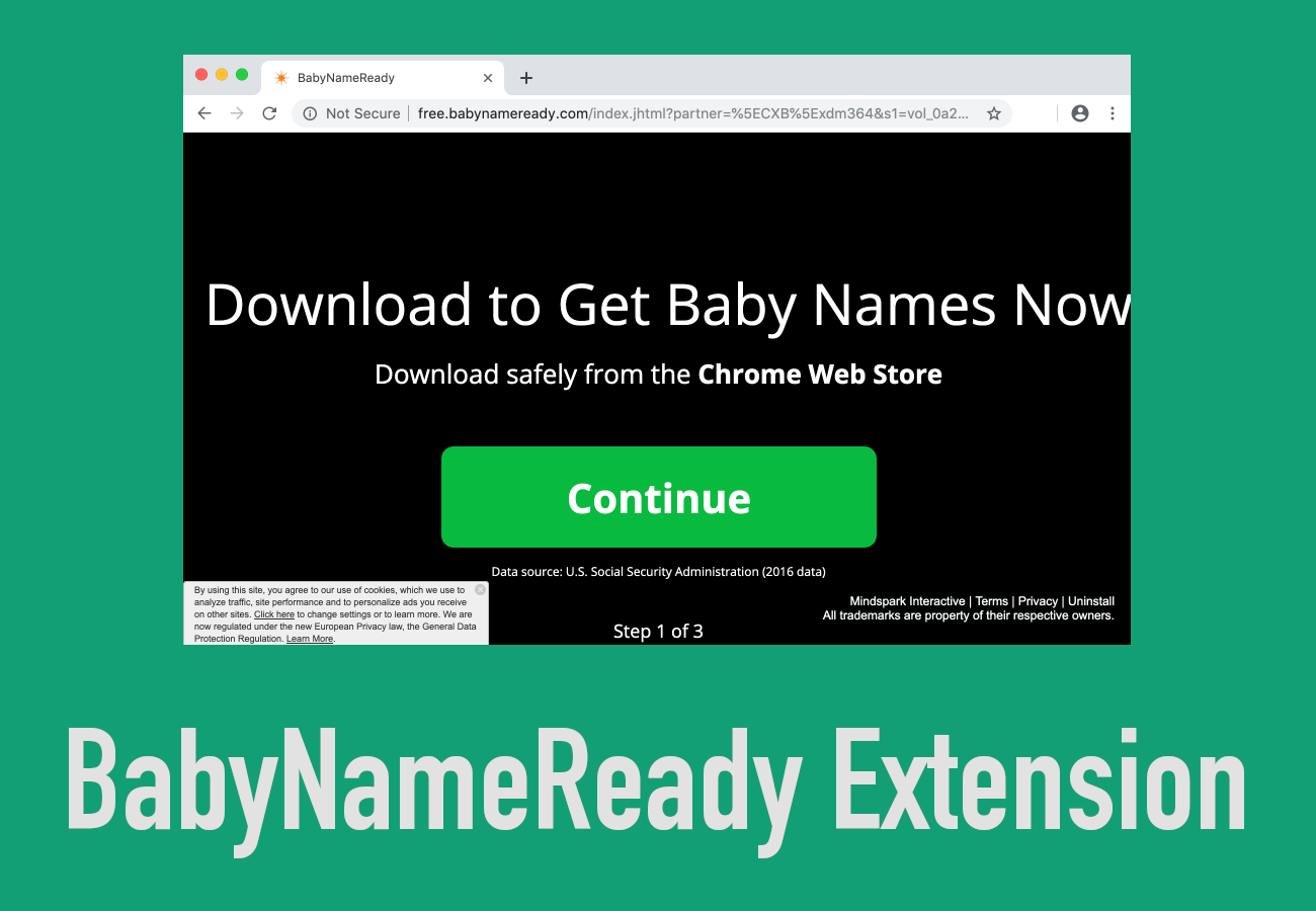BabyNameReady Extension removal