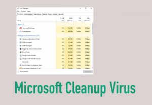 Microsoft Cleanup Virus