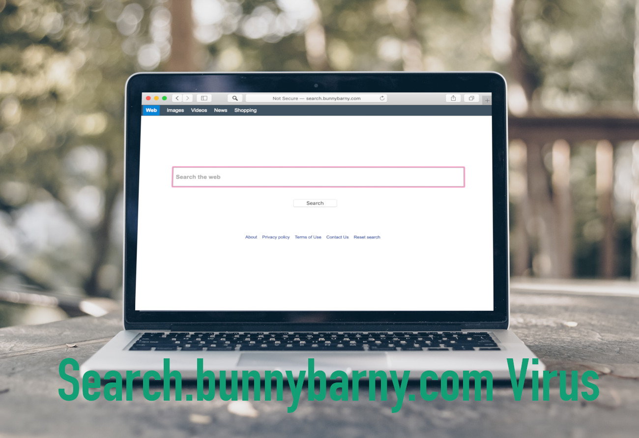 Search.bunnybarny.com virus removal
