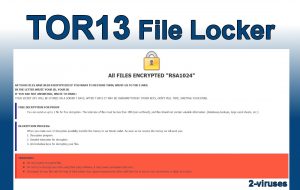 TOR13 File Locker