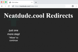 Neatdude.cool Redirects