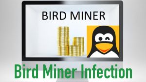 Bird Miner Infection