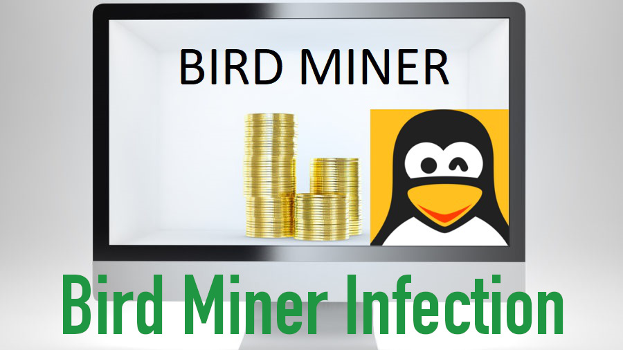 Bird Miner Infection removal