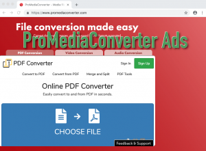 ProMediaConverter Ads