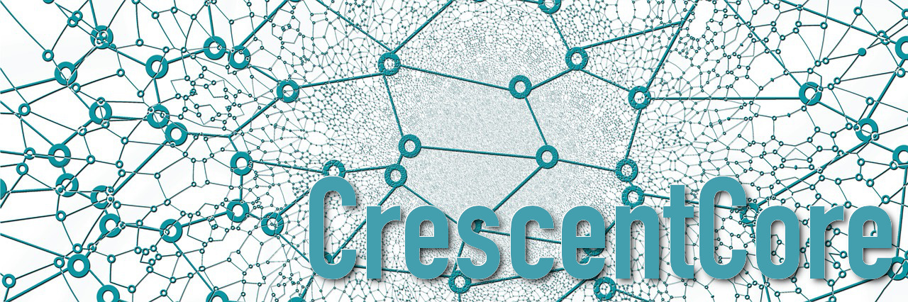 Rogue Application Distributed Through Search Results on Google