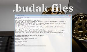 Budak Ransomware