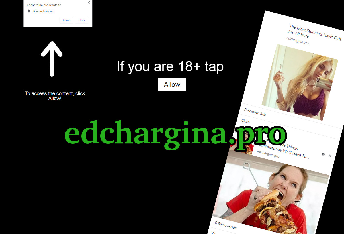 edchargina.pro screenshot