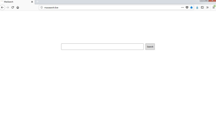 Maxsearch.live