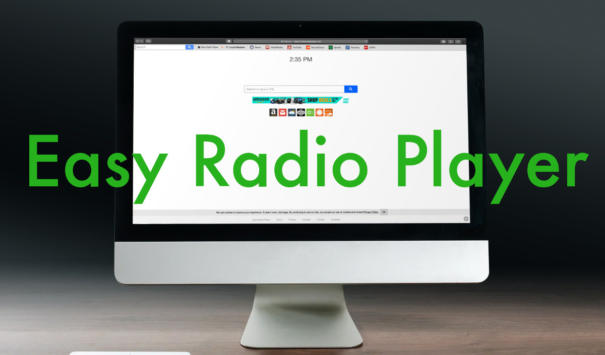 Easy Radio Player