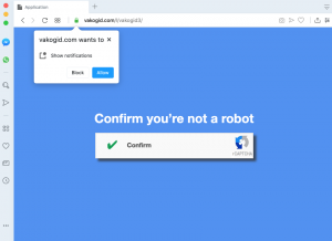 Vakogid.com Redirect Virus