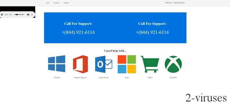 win-8x0007 scam screenshot