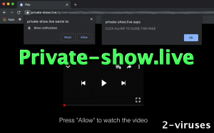 Private-show.live Ads and Redirects