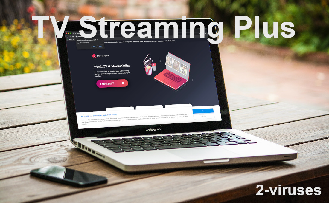 Tvstreamingplus.com is showing misleading marketing material.