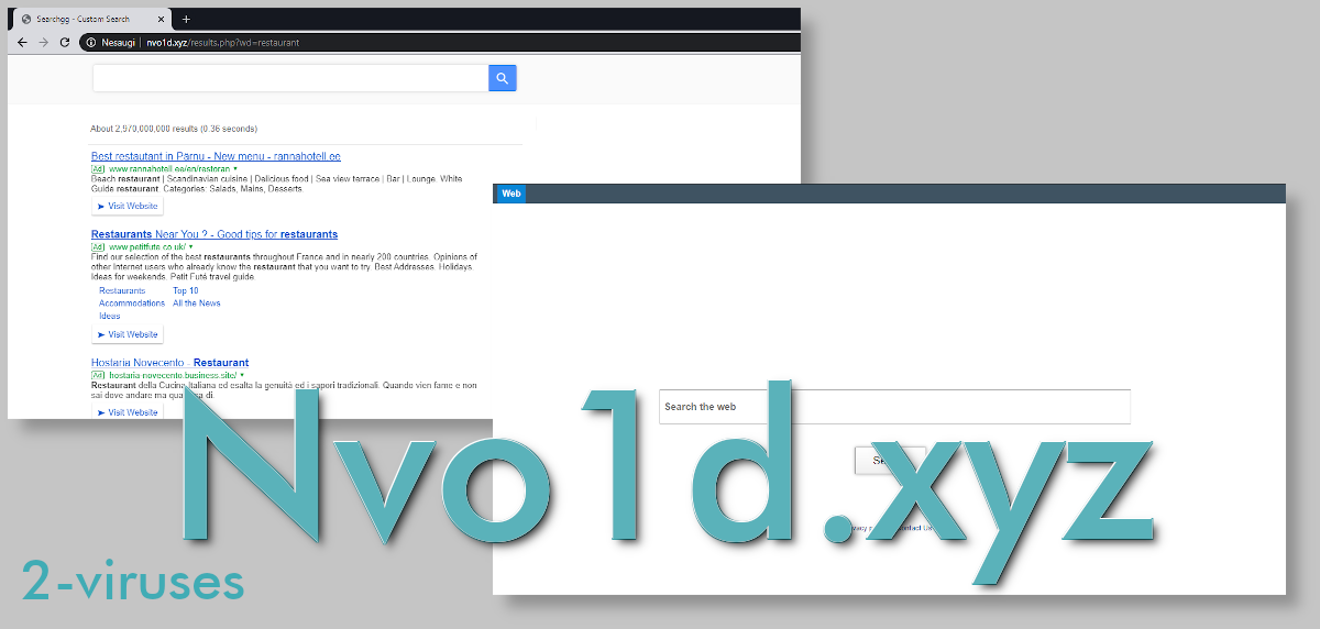 Nvo1d.xyz looks like most search engines look.