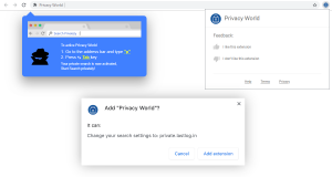 Privacy World Redirects